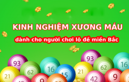 Kinh nghiệm xương máu dành cho người chơi lô đề miền Bắc